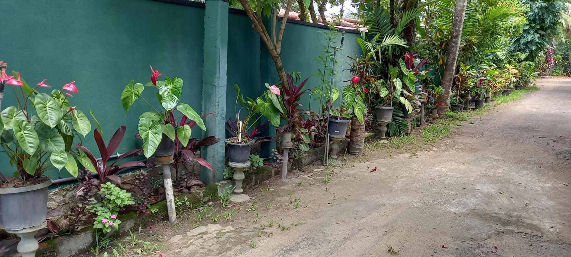 Nooit Gedacht Holiday Resort Unawatuna Extérieur photo