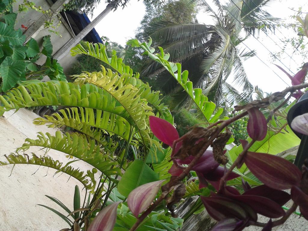Nooit Gedacht Holiday Resort Unawatuna Extérieur photo