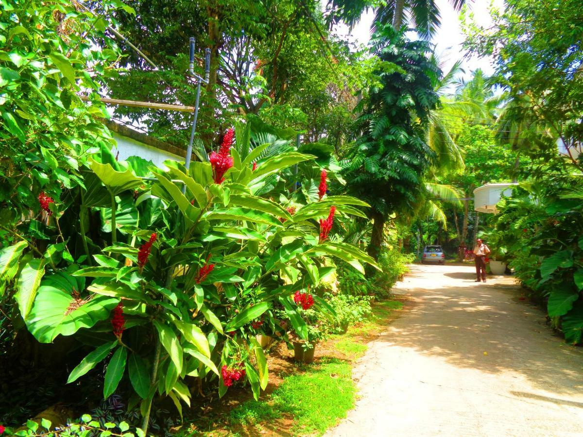 Nooit Gedacht Holiday Resort Unawatuna Extérieur photo