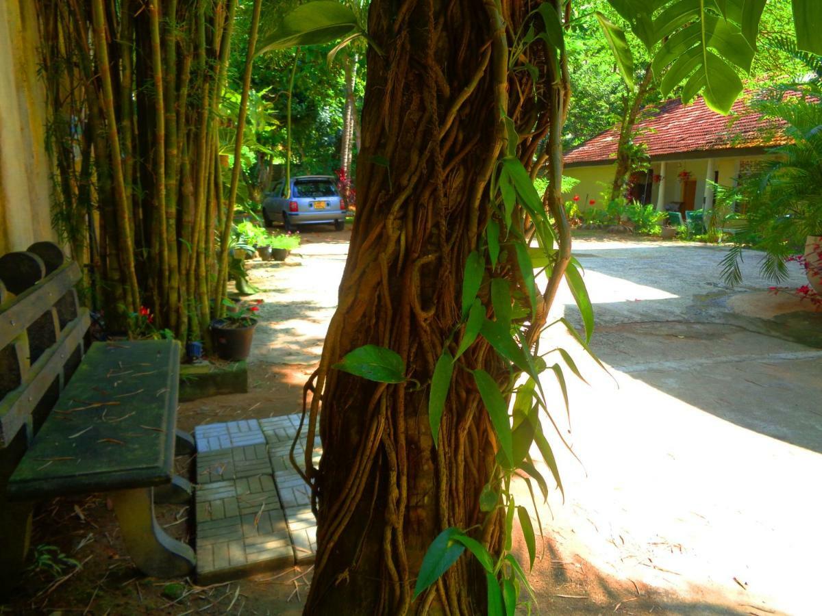 Nooit Gedacht Holiday Resort Unawatuna Extérieur photo